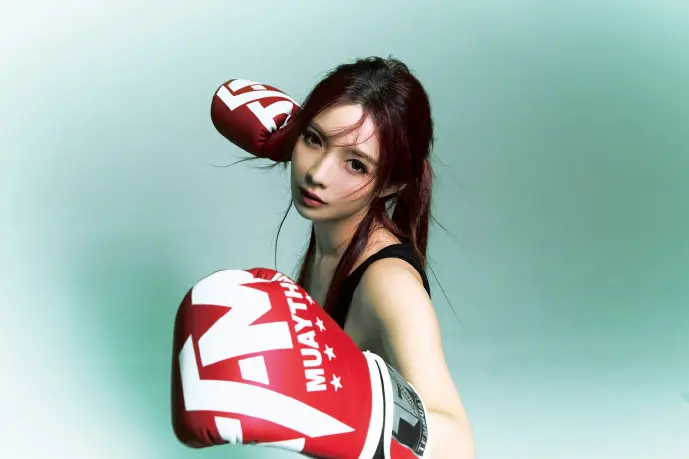 小鸟免费下载数据对比